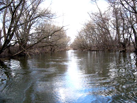 Река Серена